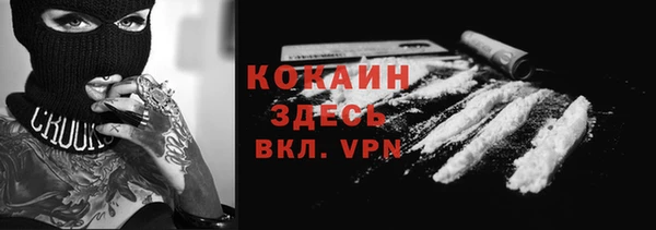 прущие грибы Балахна