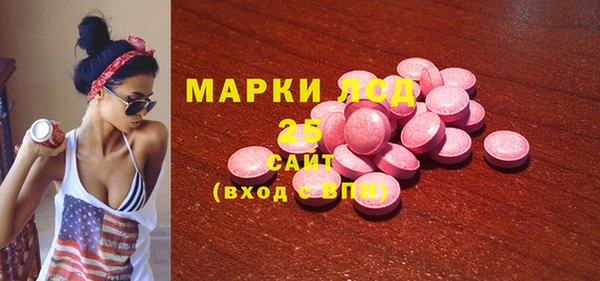прущие грибы Балахна