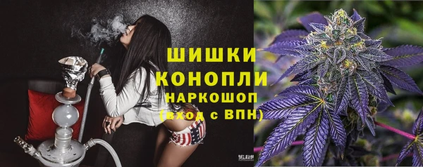 прущие грибы Балахна