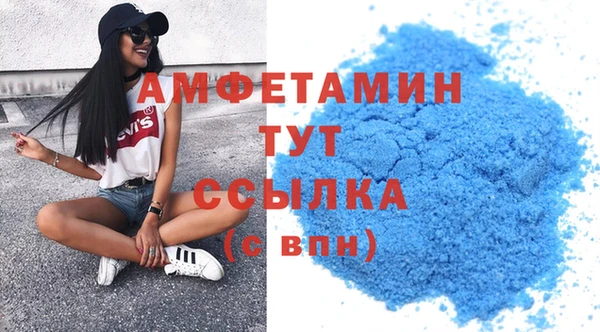 прущие грибы Балахна
