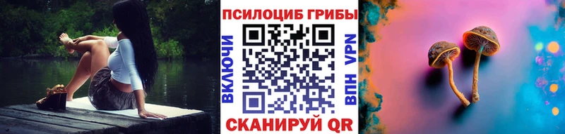 Галлюциногенные грибы мицелий  купить закладку  Лакинск 